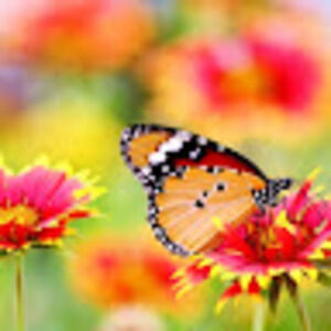 Meet your Posher, Johanna